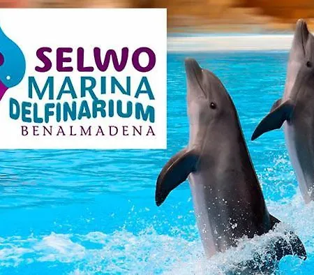 Trebol Benalmadena
